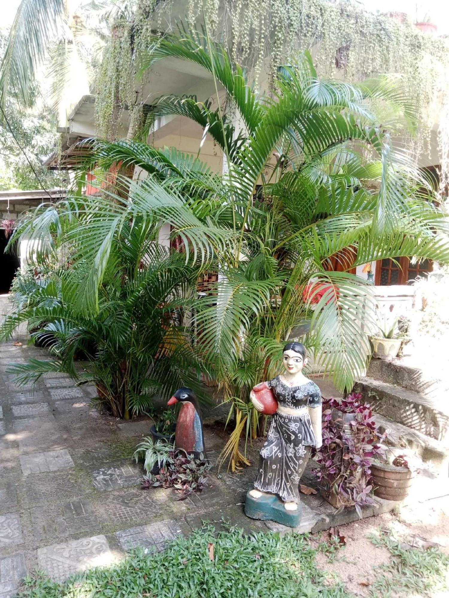 Nelum Home Stay Sigiriya Exterior photo